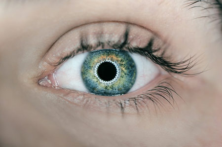 How long does it take for eye dilation to wear off? - Tucson